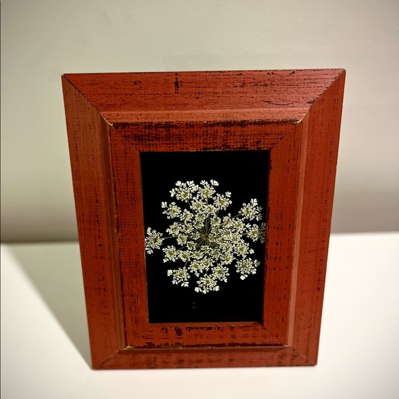⚘  Framed Wildflowers ⚘ - Picture 1 of 3